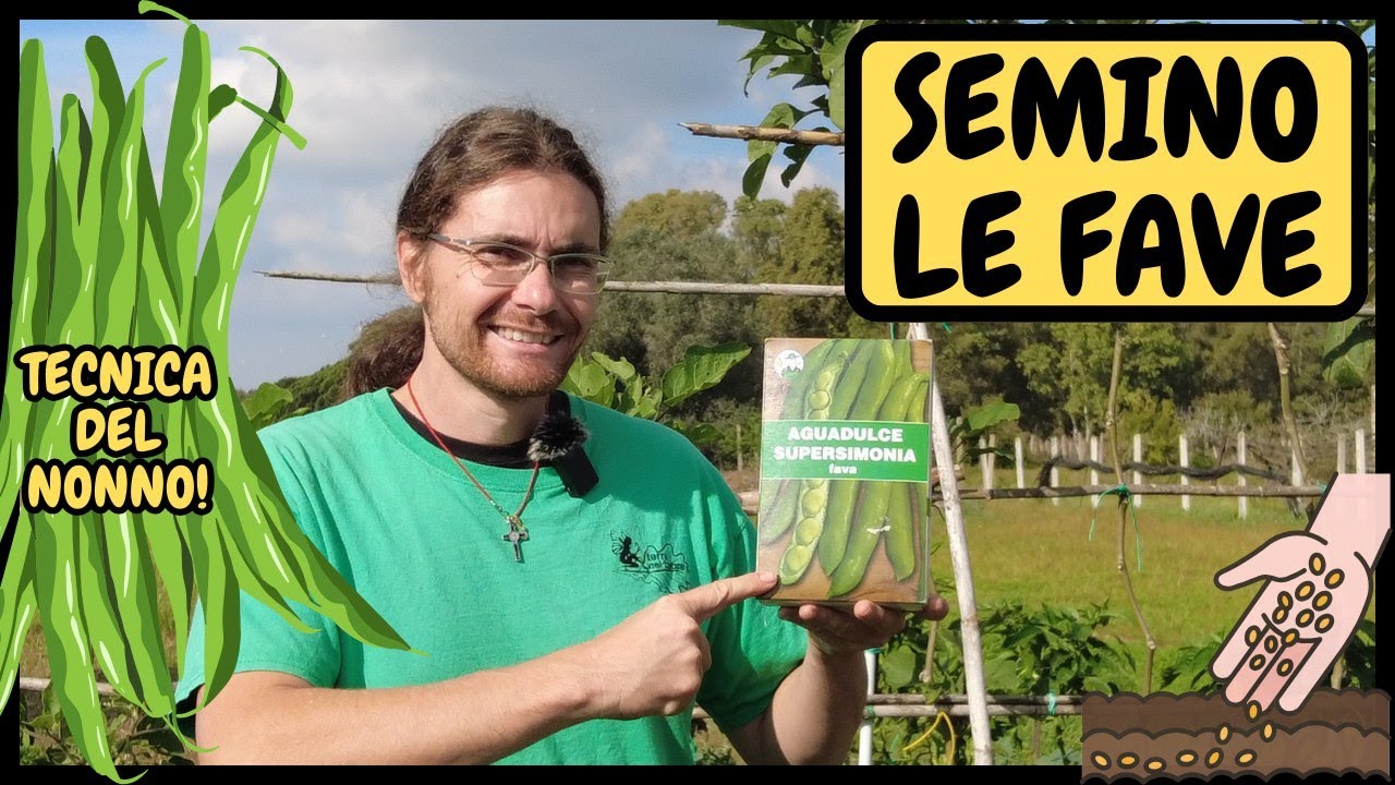 Come e Quando Seminare le FAVE con la TECNICA del NONNO! | Tutorial Agricoltura