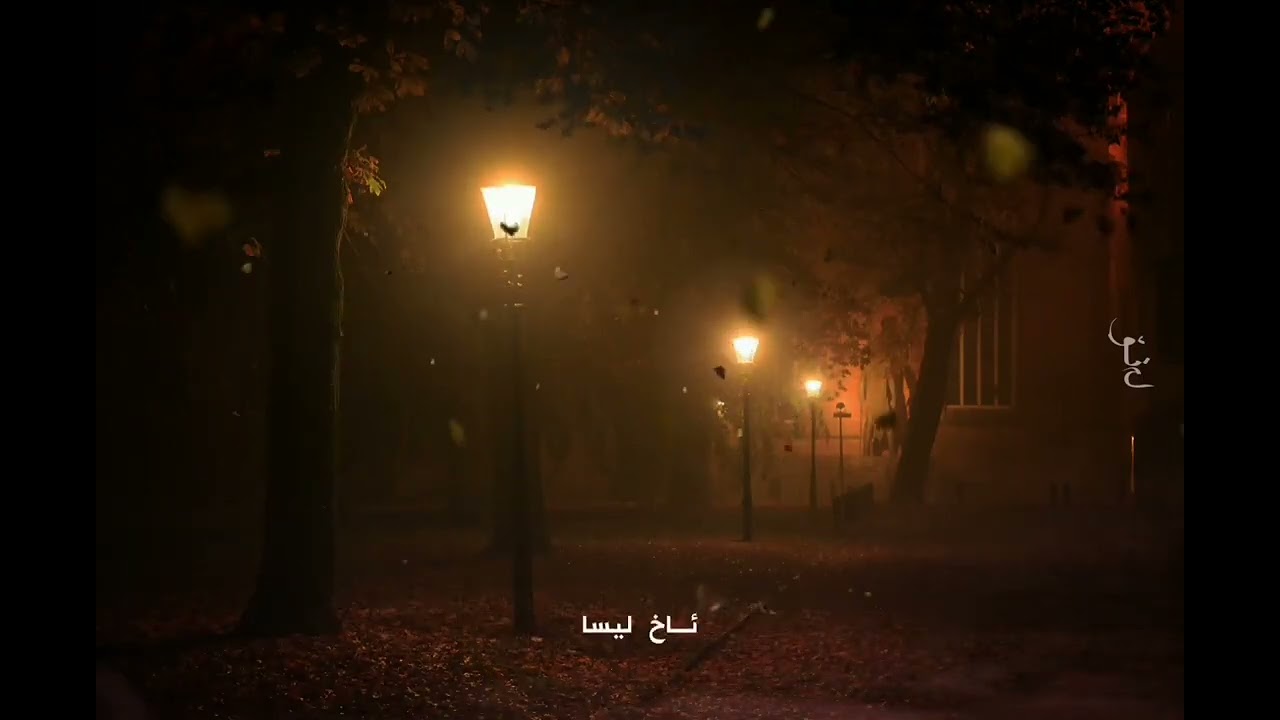 قــەسیدەی لیـــسا //مەهدی سالح مەجدی //خوێندنەوەی کارزان عوسمان //qasidai Lisa