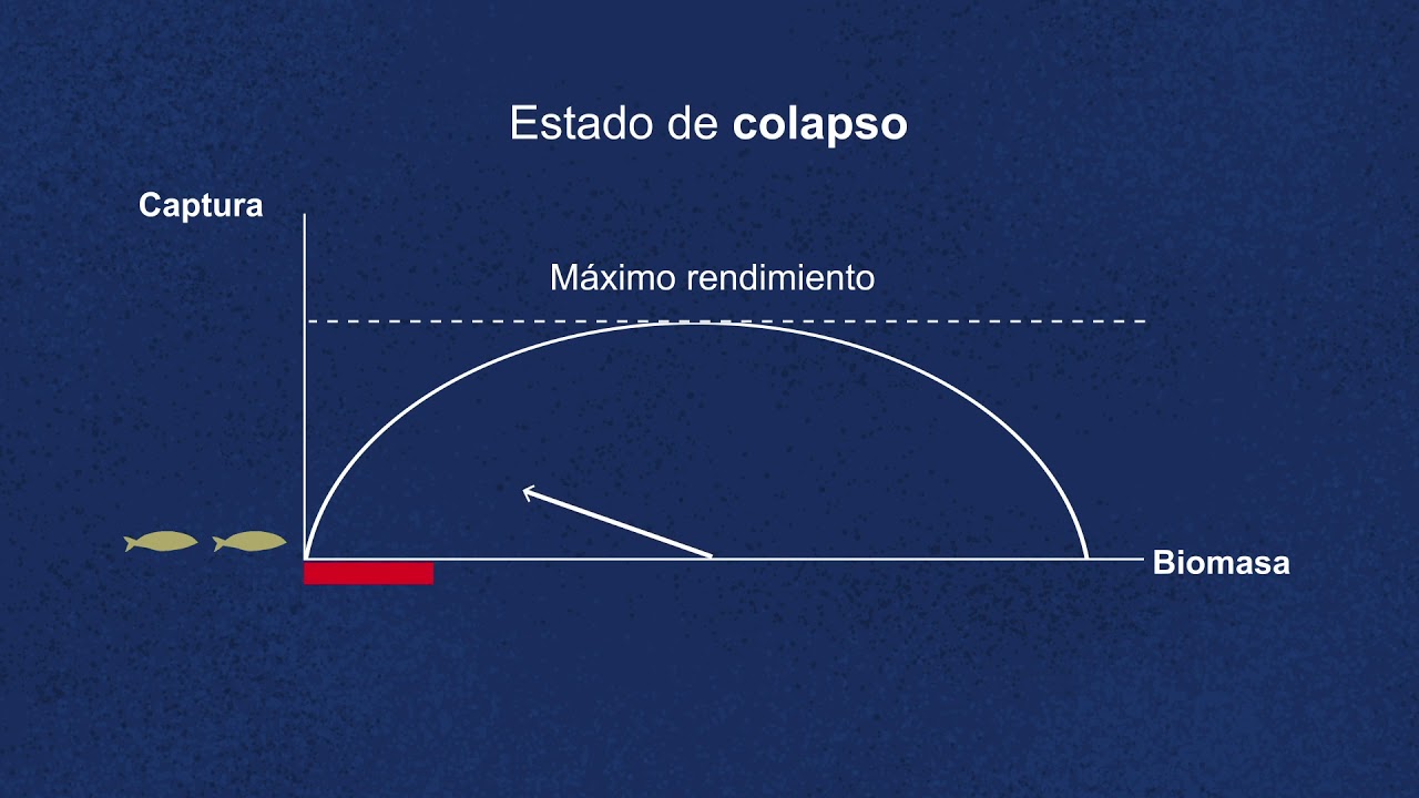 Pesca Responsable: nuestro compromiso - Episodio 6 - Estados de explotación de las pesquerías