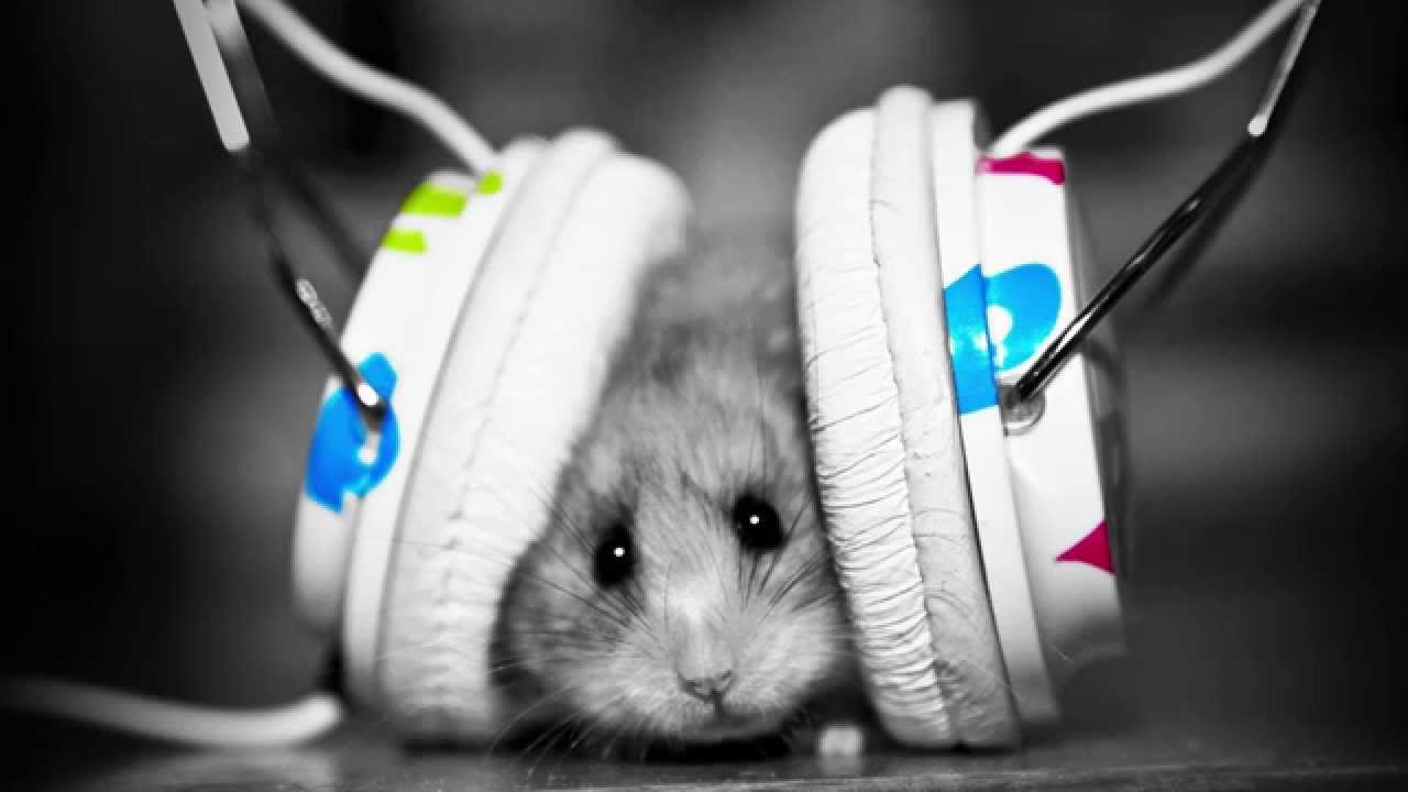DJ Clipz - Loud And Dirty - best quality