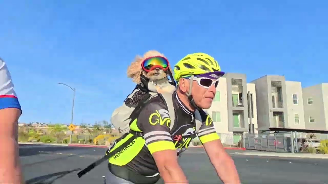 GVC Ride to Lake Las Vegas / Henderson, NV / Cycling featuring Dallas! 3/15/2026