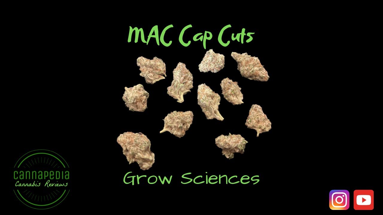 MAC Caps Cut Strain Review - Grow Sciences - Cannapedia