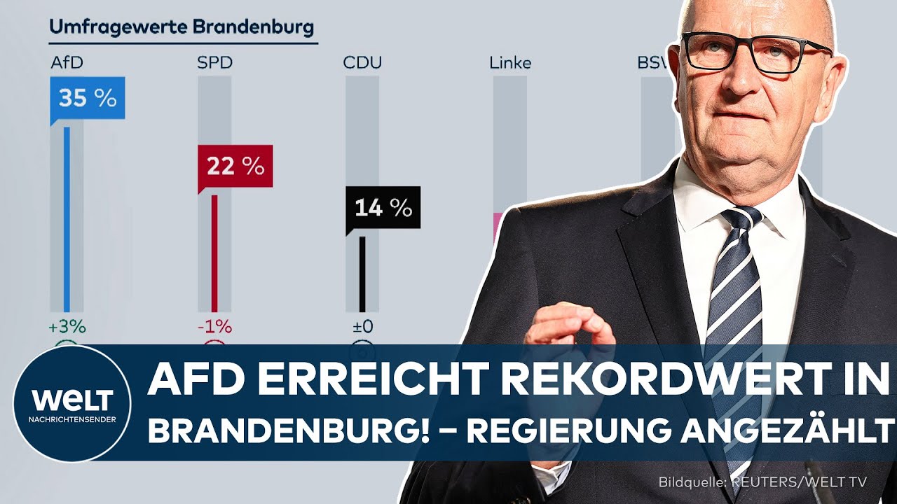 UMFRAGE-BEBEN: AfD erreicht Rekordwert in Brandenburg! &ndash; Ruf nach Neuwahlen wir lauter!