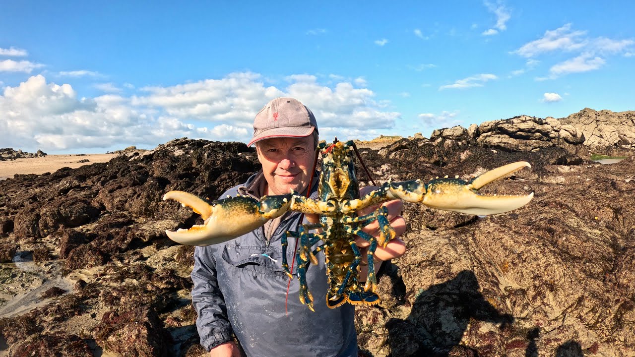 Pêche à pied : les homards des grandes marées