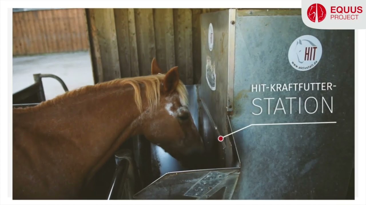Présentation et retour d'expérience sur l'écurie active / Horse Stop