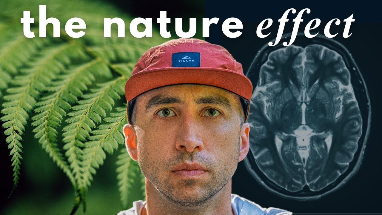 What Nature Does for Your Brain