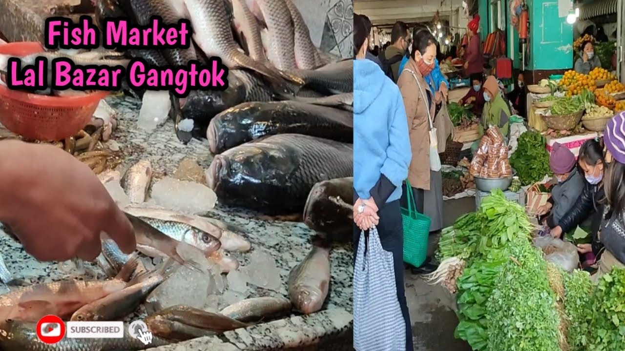 Fish Market Lal Bazar Gangtok Shopping
