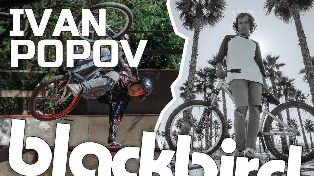 Ivan Popov | blackbird