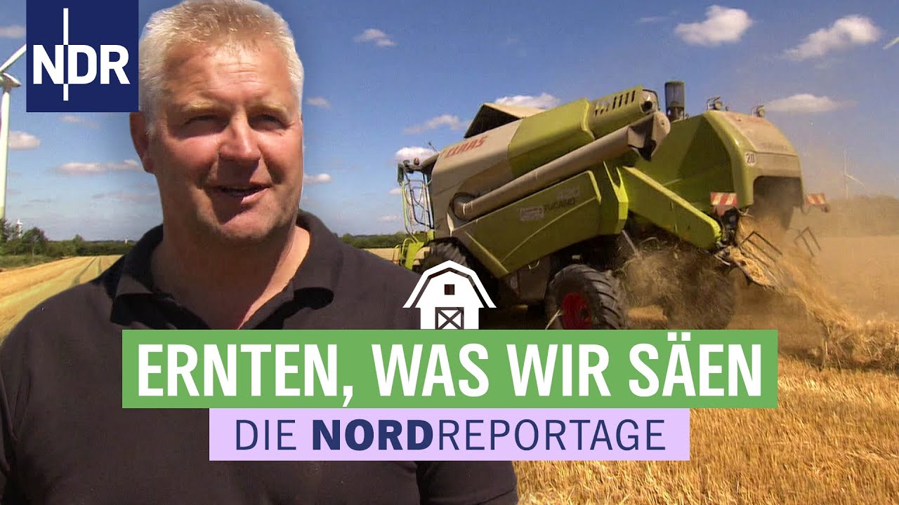 Die Kruppas - Hitzeschlacht bei der Ernte | Re-Upload Die Nordreportage CLASSICS vom 20.08.18 | NDR