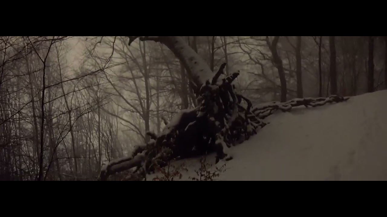 TEST Blazar Talon 50mm autofocus anamorphic lens and BIG FOOT hunting at night 12800 iso low light