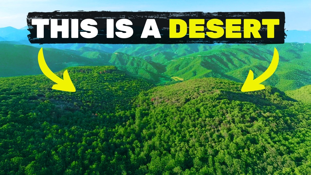 Why we need to cut down these trees