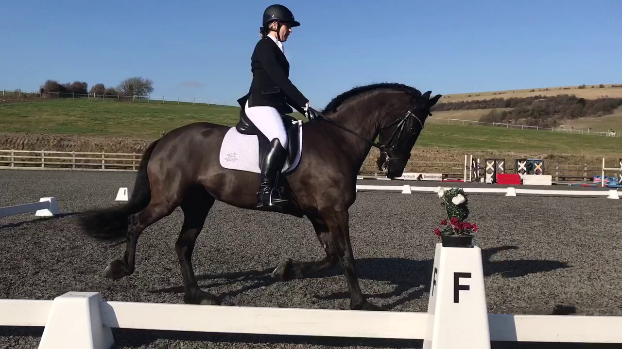 British Dressage Novice 27