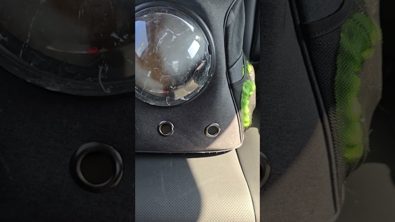 "Yell the whole way home"