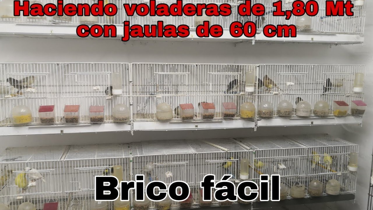 Voladeras de 1,80 Mt con jaulas de 60 (brico fácil)