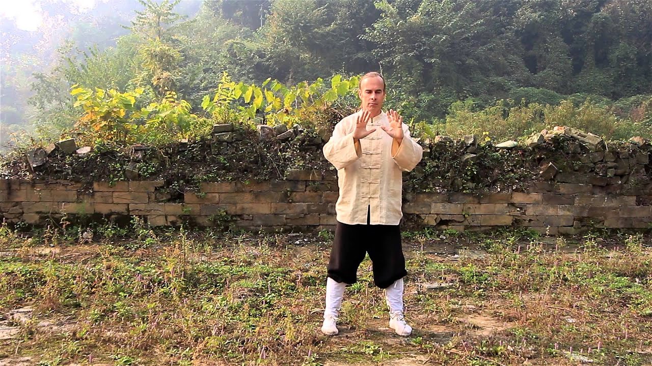 Wu Xing Qi Gong