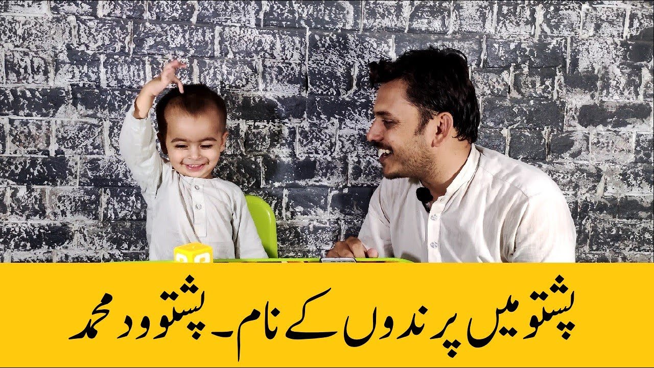 Birds names in Pashto| Pashto birds names | Pashto mai parindon k nam | Pashto with Muhammad