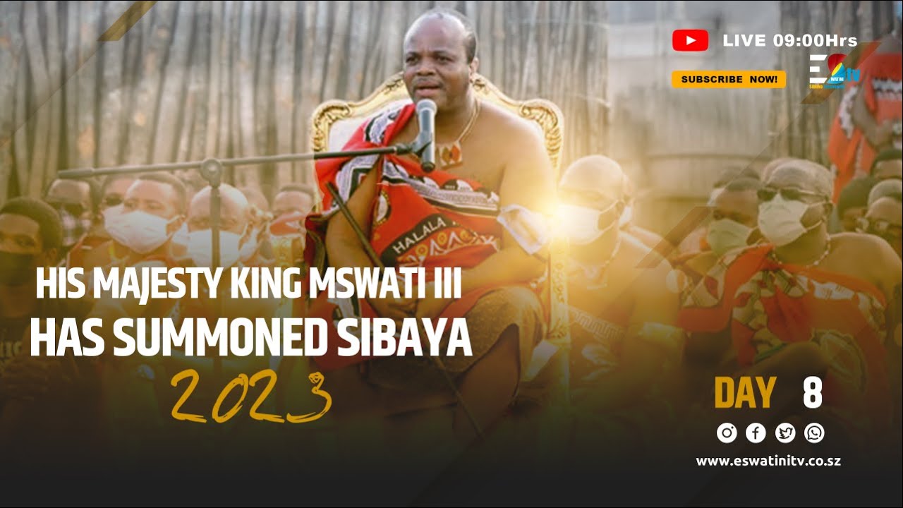 Sibaya Day 8 || 03-11-2023
