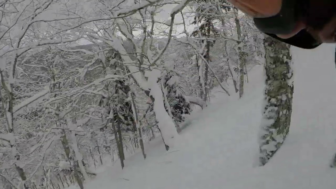 Backcountry Ski Touring Cape Breton Highlands