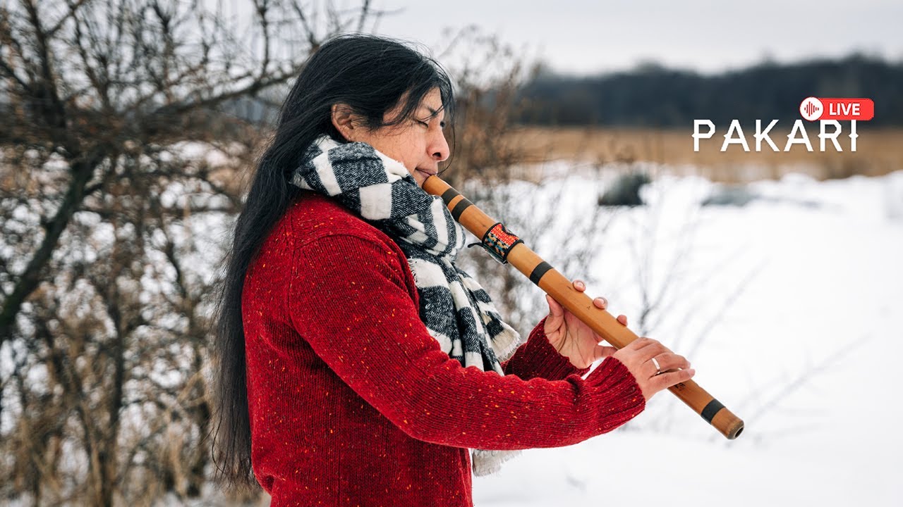 Pakari - Live Instrumental music