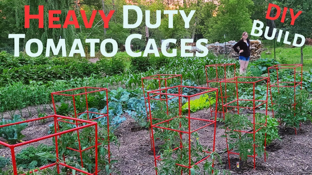 Heavy Duty Tomato Cages Build DIY