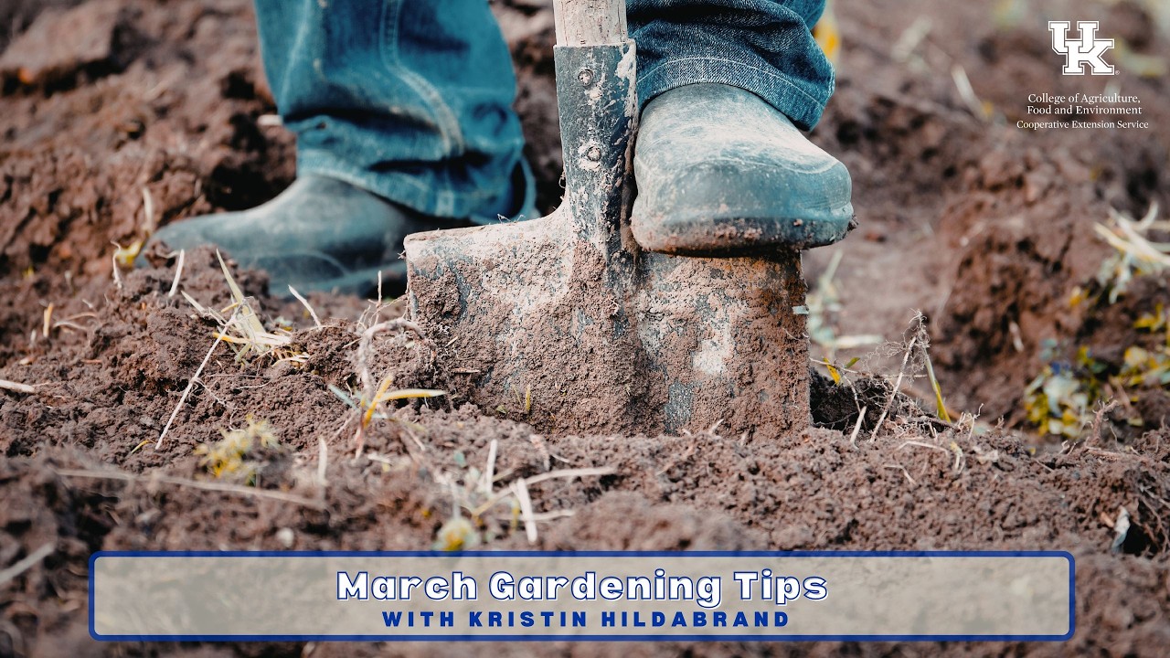 March Gardening Tips