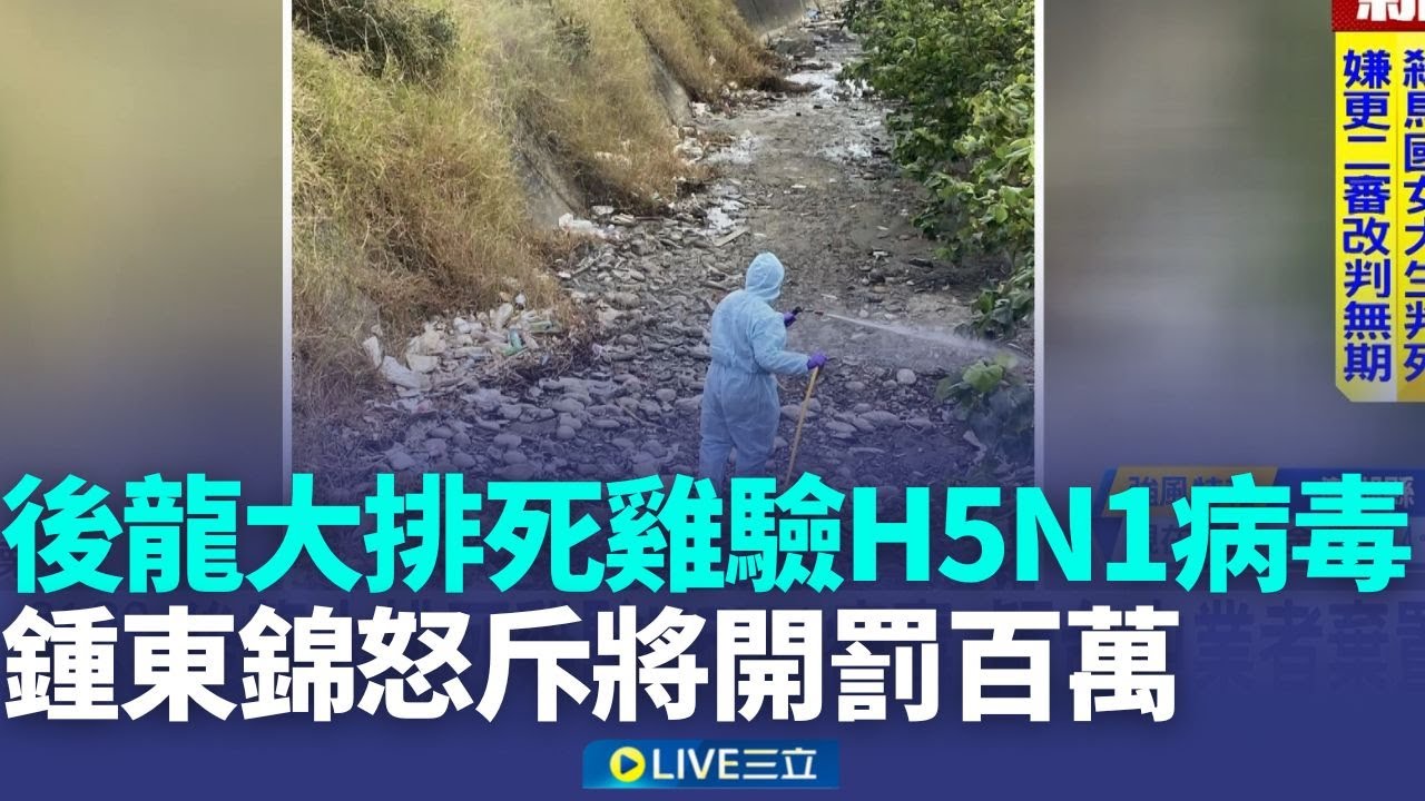 後龍大排死雞驗H5N1病毒 疑台中業者棄置 疑台中業者丟死雞 鍾東錦怒斥將開罰百萬│記者 吳俊賢 許書維 賴一銀 沈明志│新聞一把抓20260129│三立新聞台
