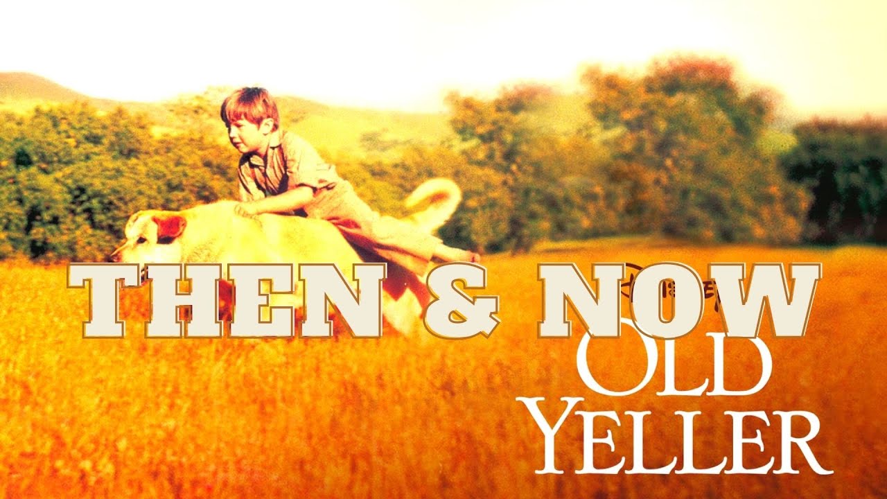 Old Yeller (1957) - Then and Now (2021)
