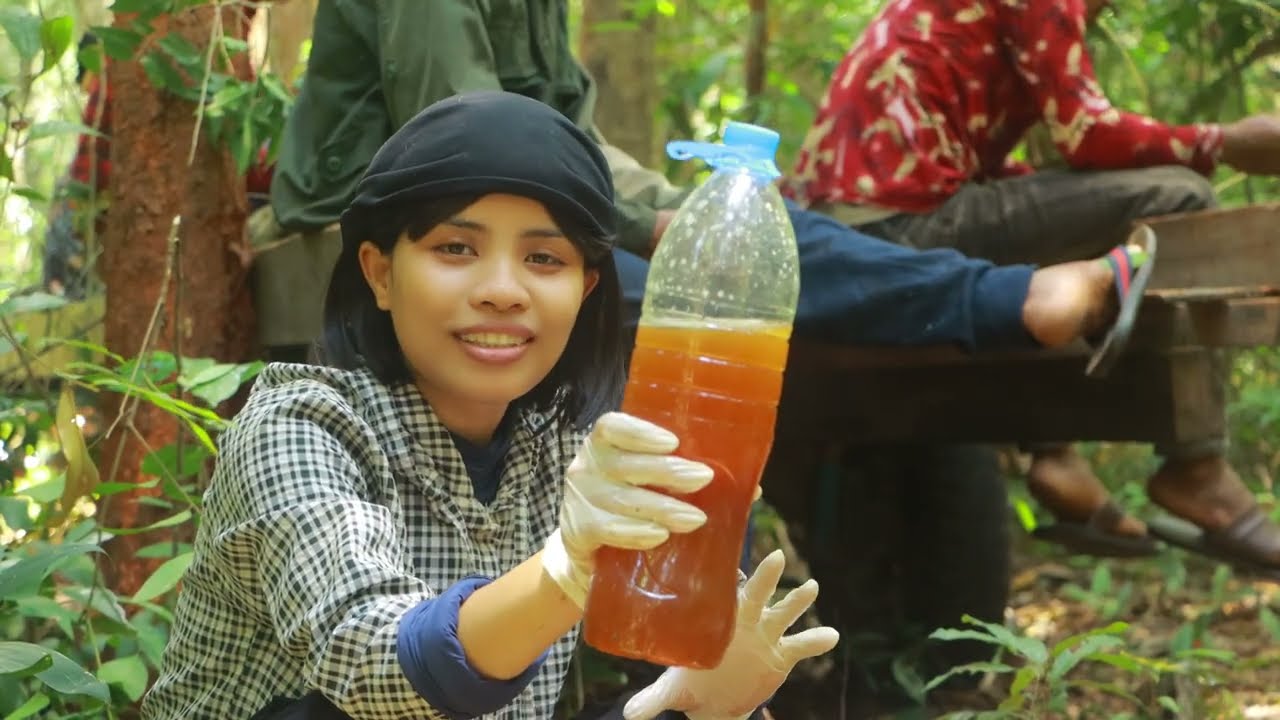 ហេងហើយ! រកឃ្មុំ២សំបុក បានទឹក១១លីត្រ​ថ្ងៃនេះបានទឹកឃ្មុំសុទ្ធតែពណ៍ក្រហម