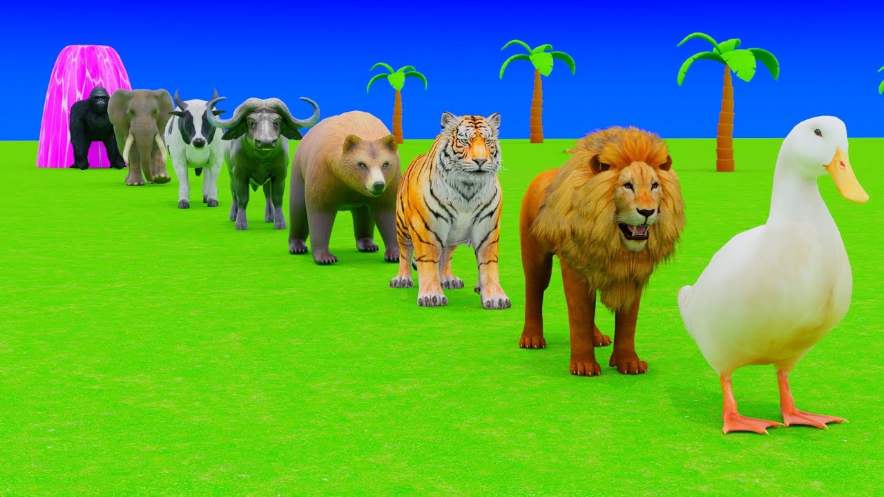Long Slide Game with Dinosaur Lion Cow Hippopotamus Gorilla 3d Animal Game Funny 3d Animals