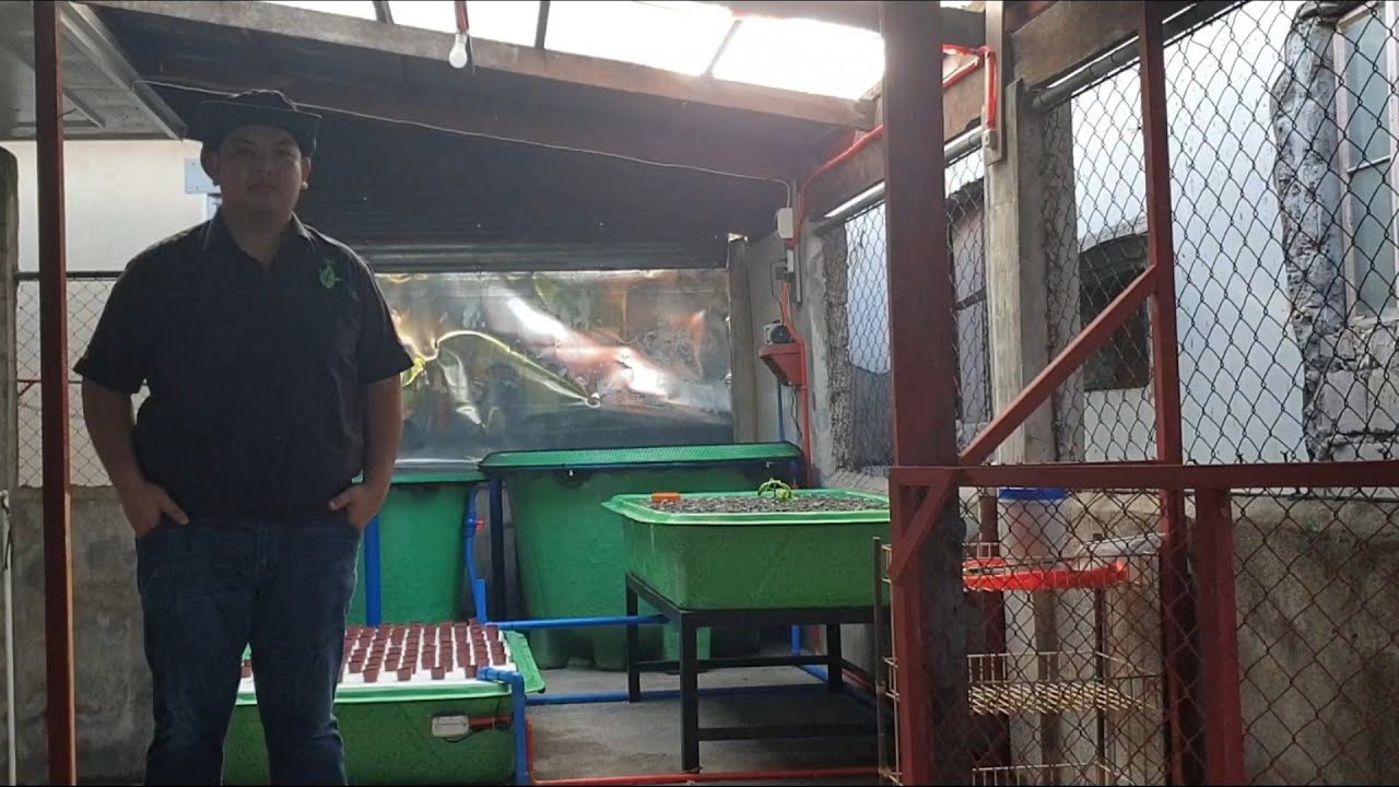 MADE Split Flow Aquaponics System