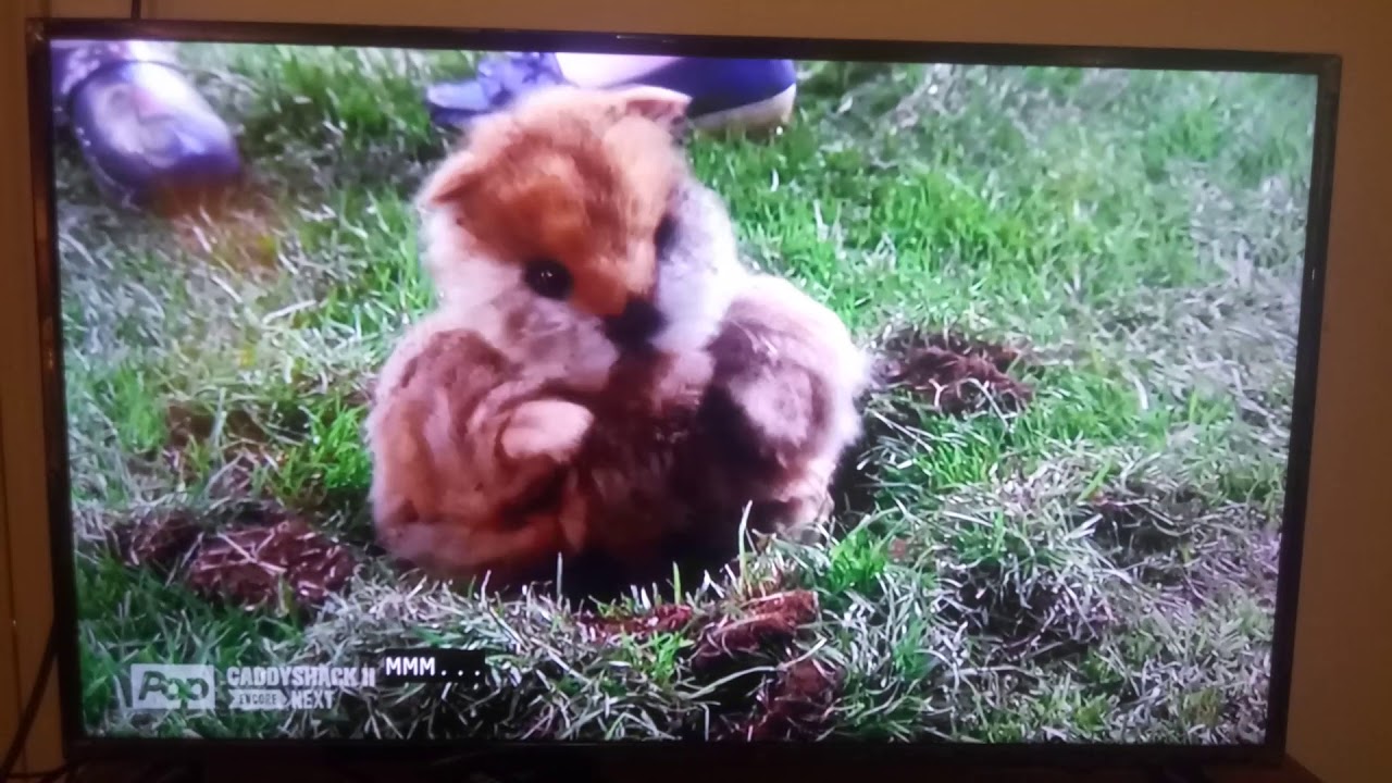 Caddyshack II (Gopher falling in love ending scene)