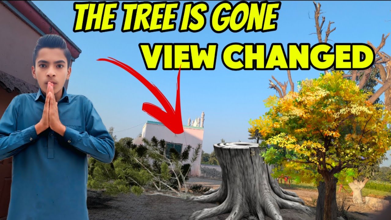 Tree Is Gone 😭 | View Changed ❤️ | Purana Darakht Yaad Aye Ga | Taha Saraiki Vlog 