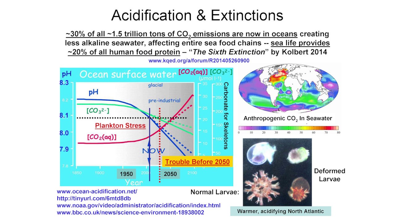 Ocean Warming & Acidification - Dr. Alex Cannara @ TEAC8