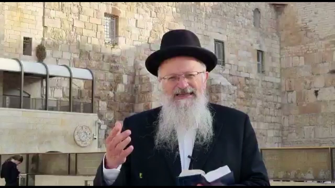 פירוש פרק הישועות בתהילים | הרב שמואל אליהו | הלכה יומית כ