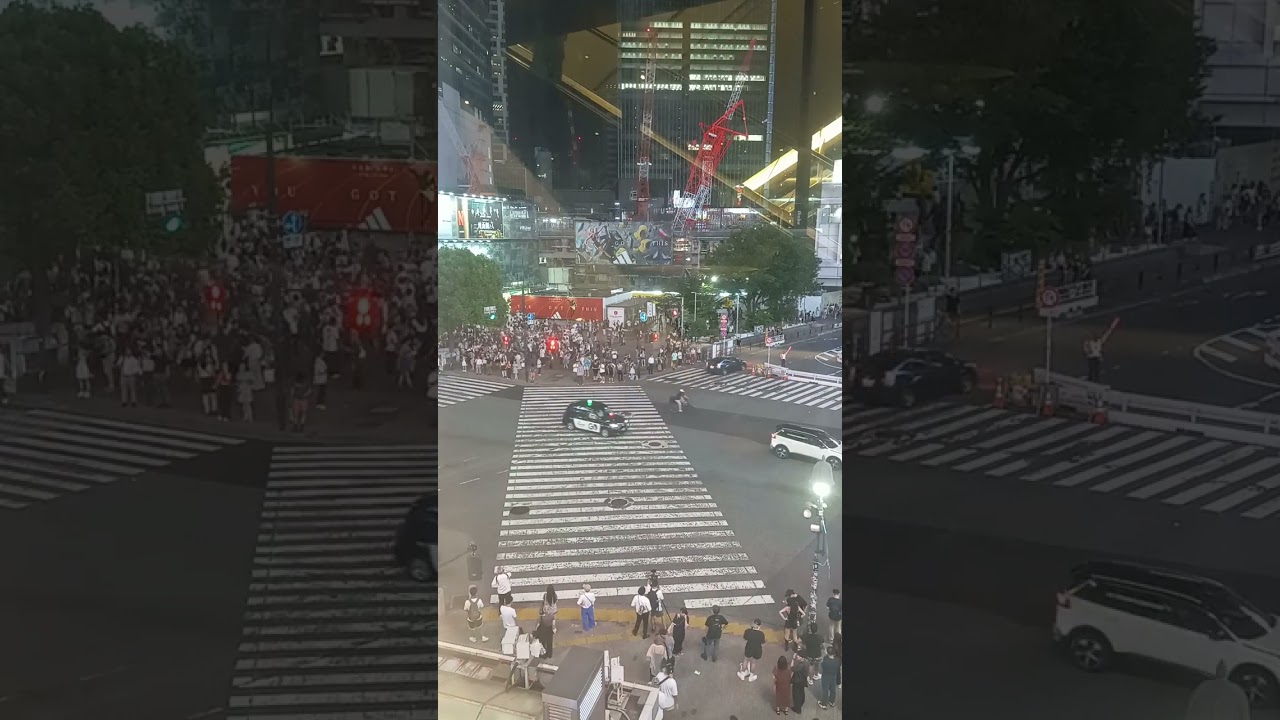 Shibuya 