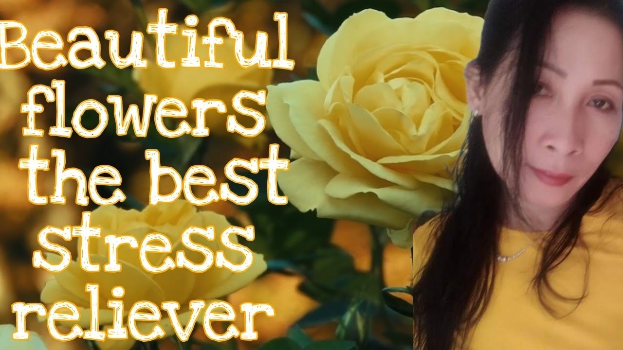 Relaxation music | yellow flowers | stress relief music