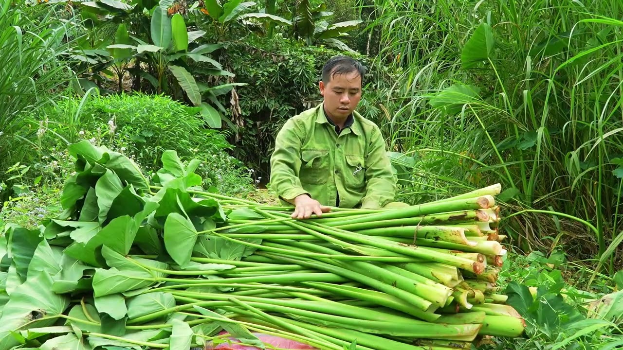 Johnny discovers an abundant food source for the wild boar herd.