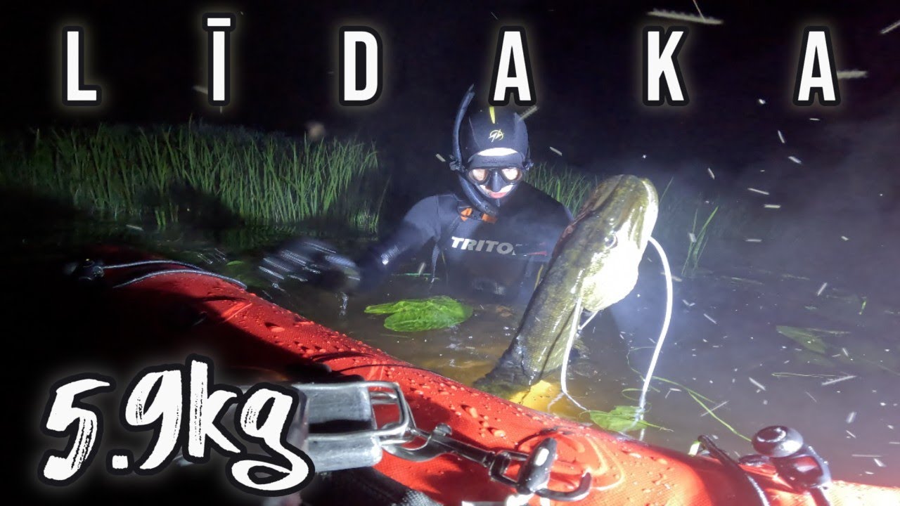 EP22 | Zemūdens nakts medības un līdaka