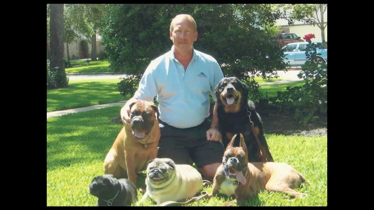 Stovall's Obedience in Texas - Best Dog Training in Houston, TX
