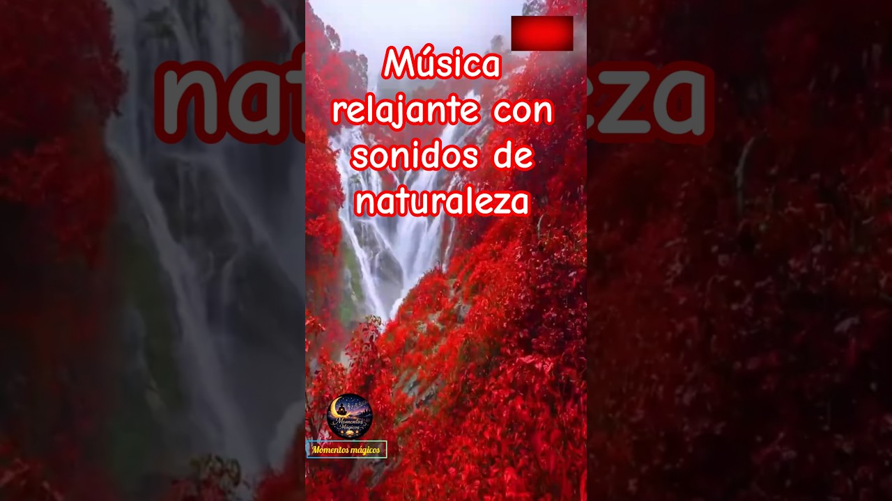 🌿 Sonidos Naturales para Relajarse 🍃 Paz, Calma y Naturaleza 