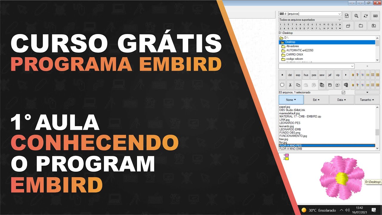 CURSO GR&Aacute;TIS EMBIRD | AULA 01 CONHECENDO O PROGRAMA EMBIRD