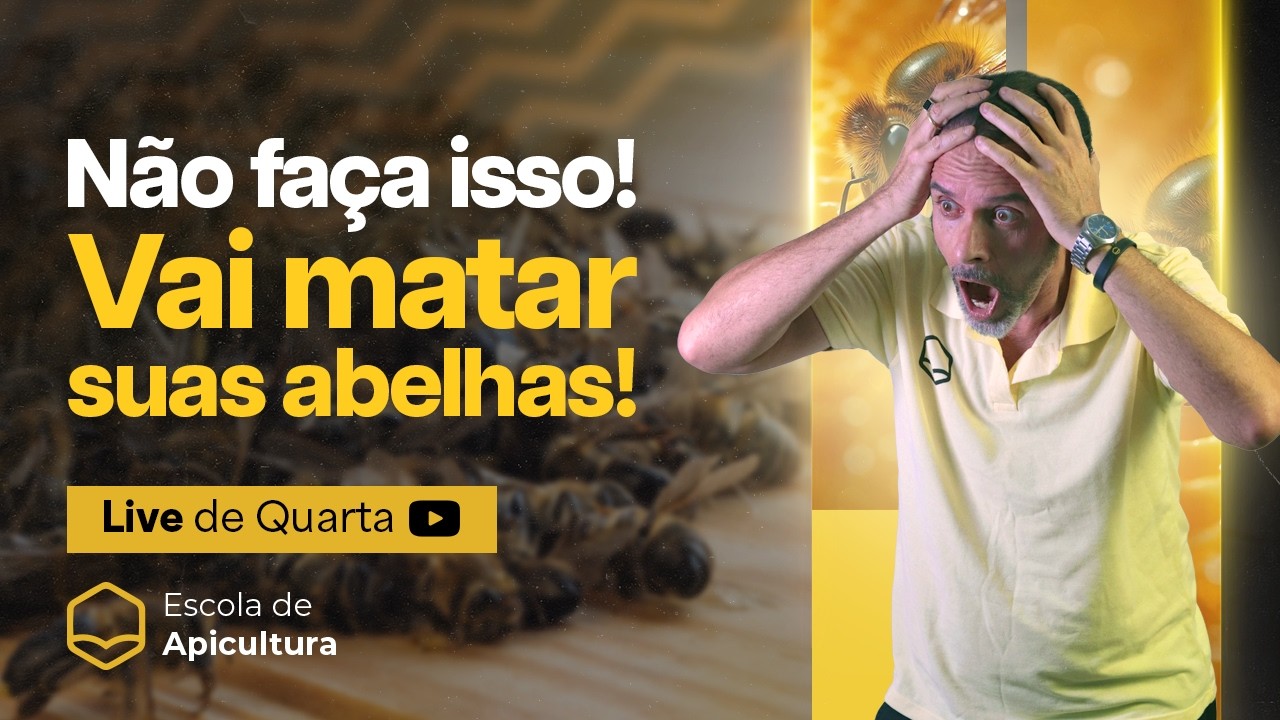 Por que as colmeias morrem (e como evitar) | Aquecimento #03