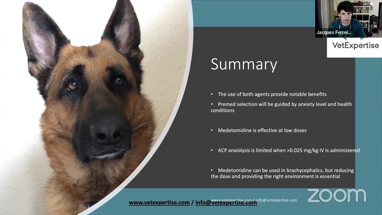 VetExpertise Webinar Jacques Ferreira - Premedication Selection: Acepromazine versus Medetomidine