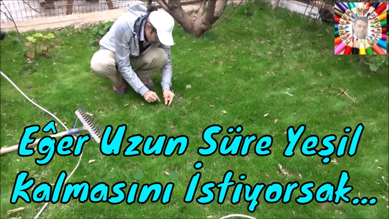 Çim Bakımının Püf Noktaları ⛏✂🔆