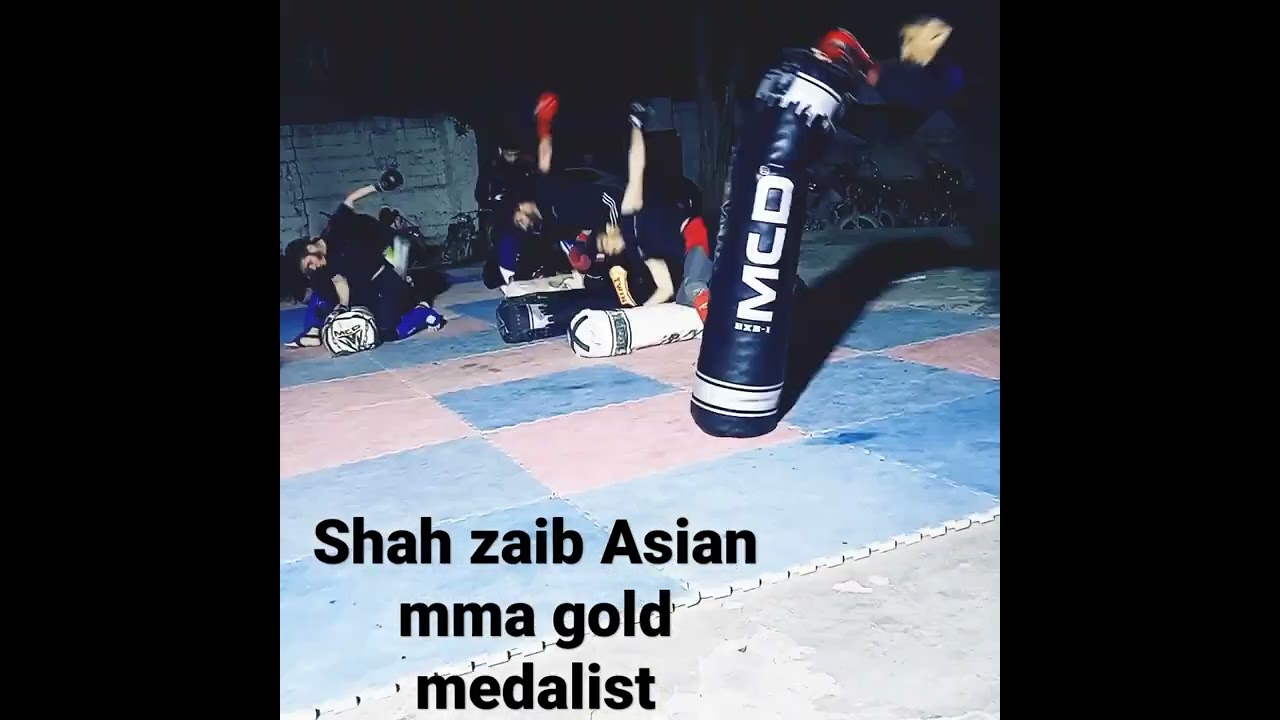 shah zaib khan mma  Asian Gold Medalist