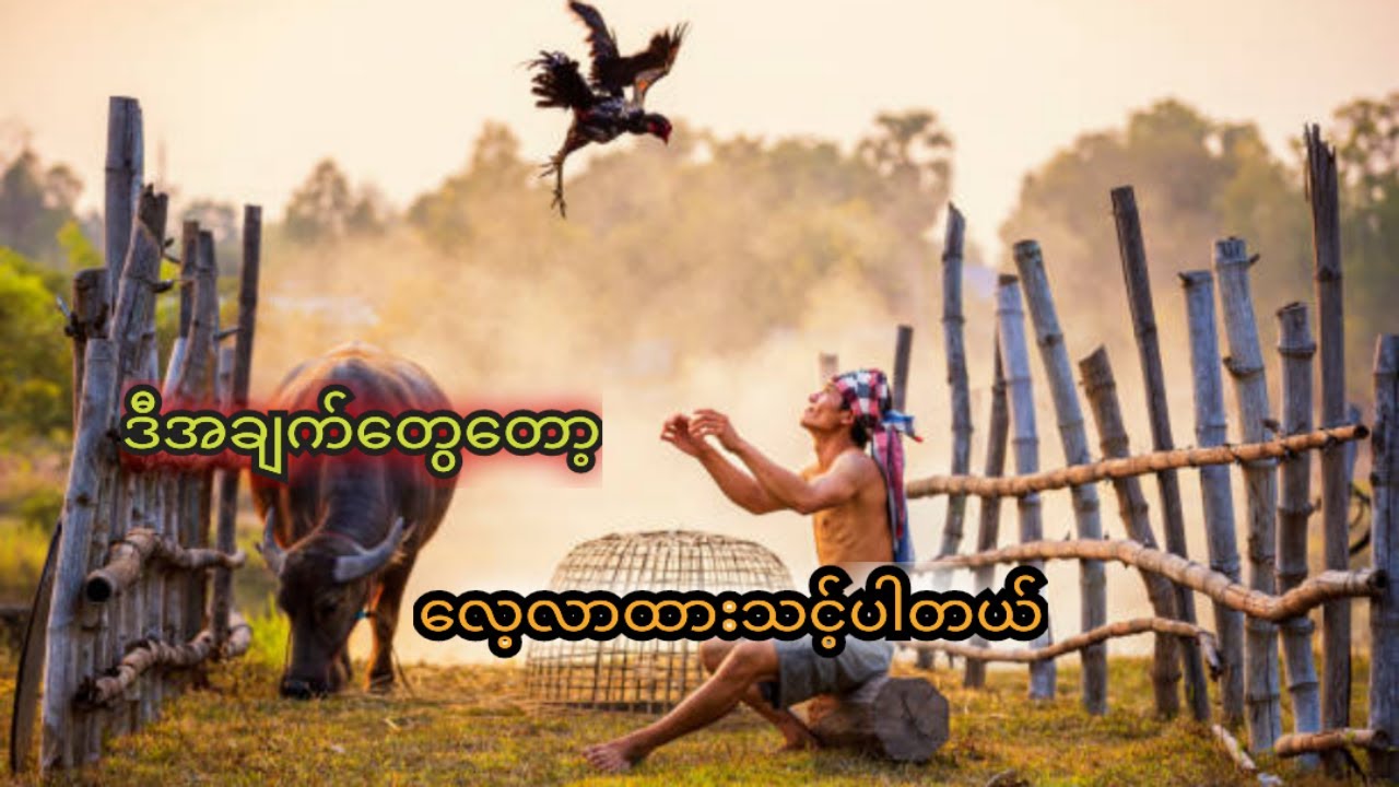 တိုက်တန်းဝင် သောကြ-က်နှင့်် တိုက်တန်းမဝင် သောကြ-က်