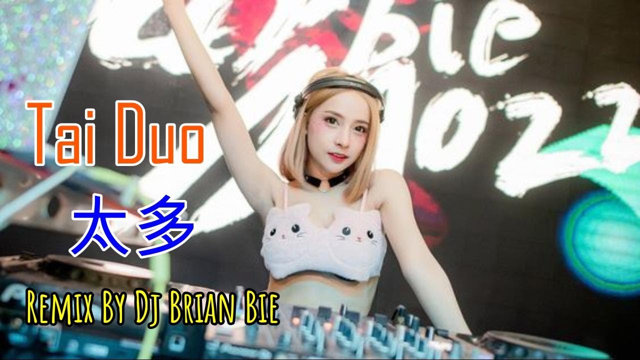 Tai Duo 太多(Electro Manyao) Remix By Dj Brian Bie #dj抖音版2023 #remixmanyao
