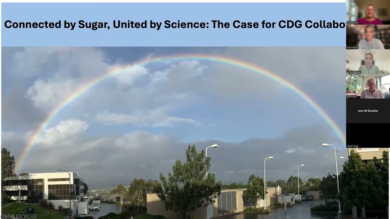 CDG Community Connection - CDGs Overview (Dr. Hud Freeze) - English