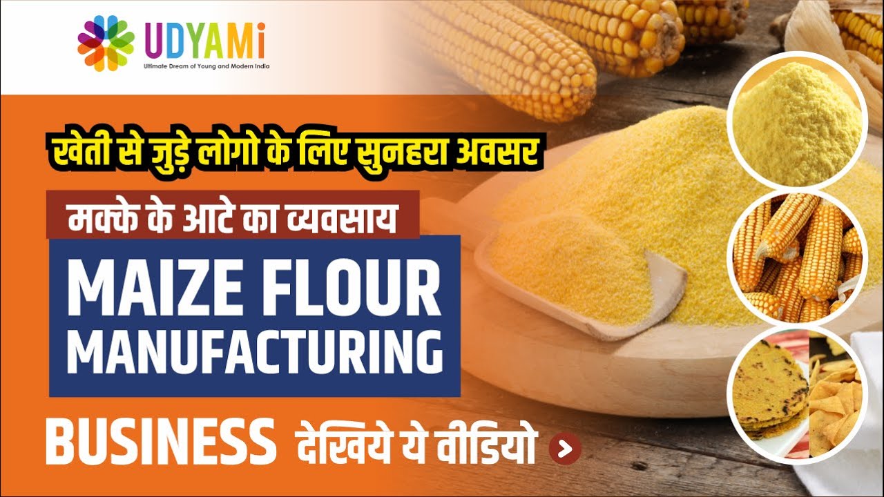 कैसे शुरू करे मक्के के आटे का  व्यवसाय   || How to Start Maize Flour Manufacturing Business