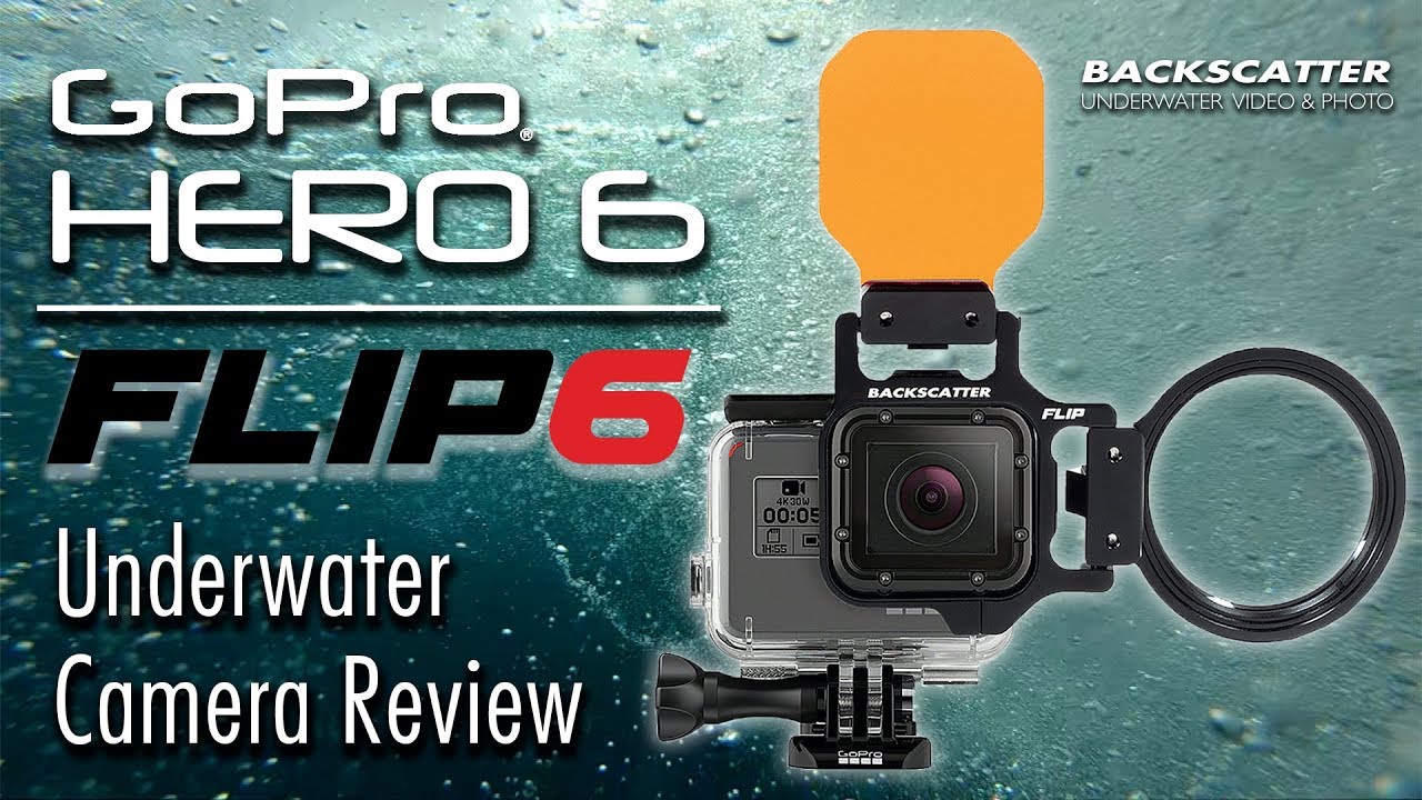 GoPro HERO 6 vs. HERO 5 Underwater Camera Test